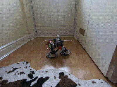 Robot climbs on the wall